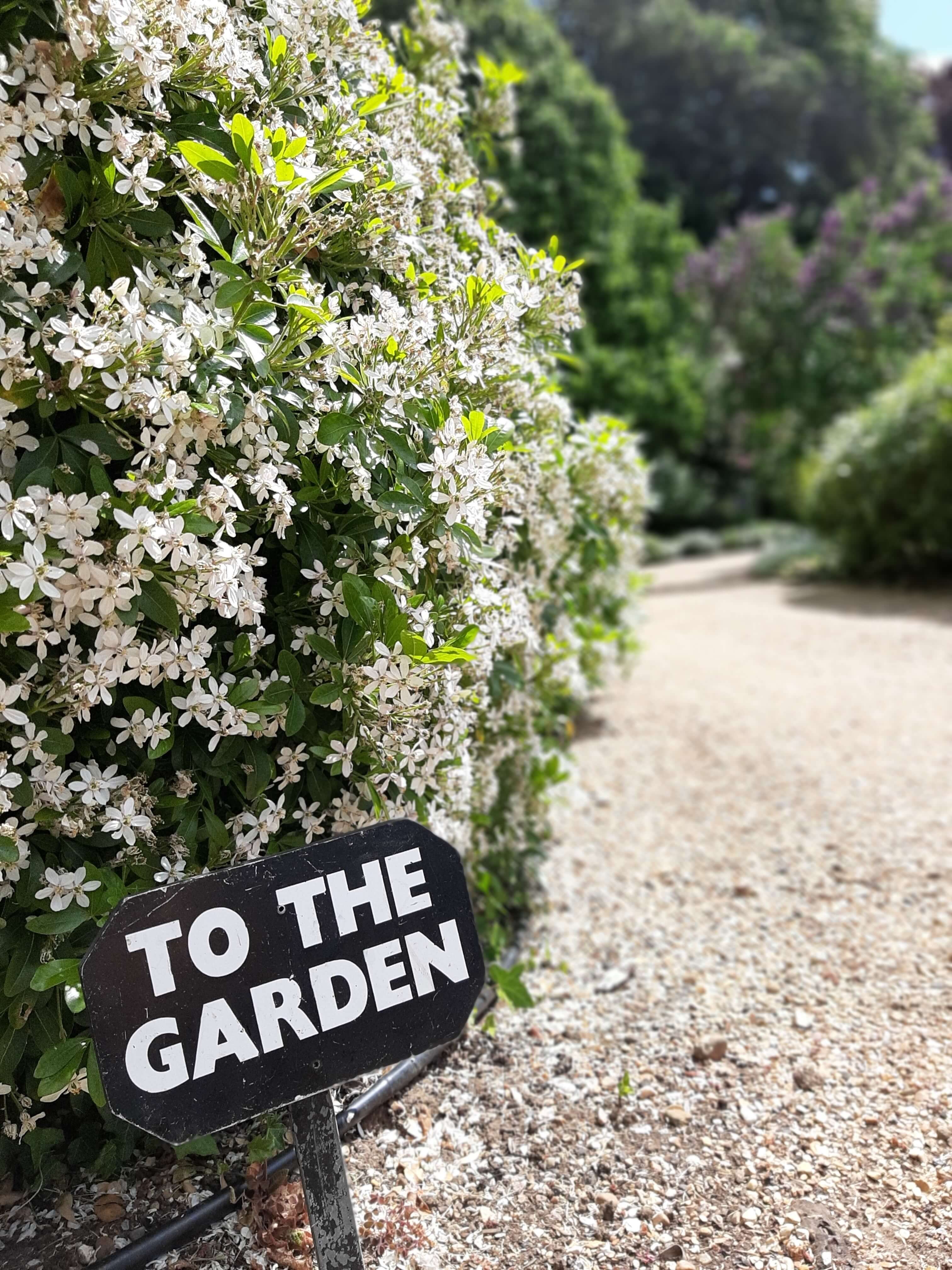 to-the-garden-sign