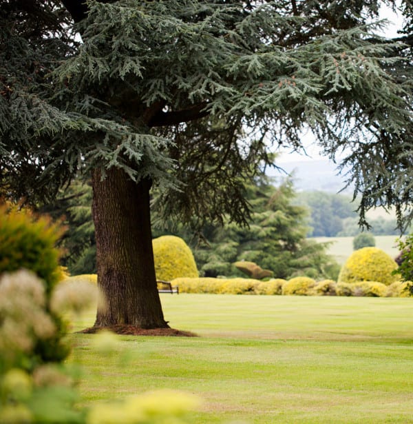 Across-the-South-Lawn