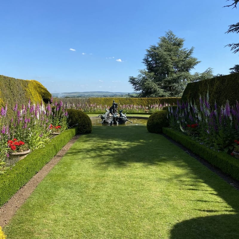 Venus garden view with foxgloves