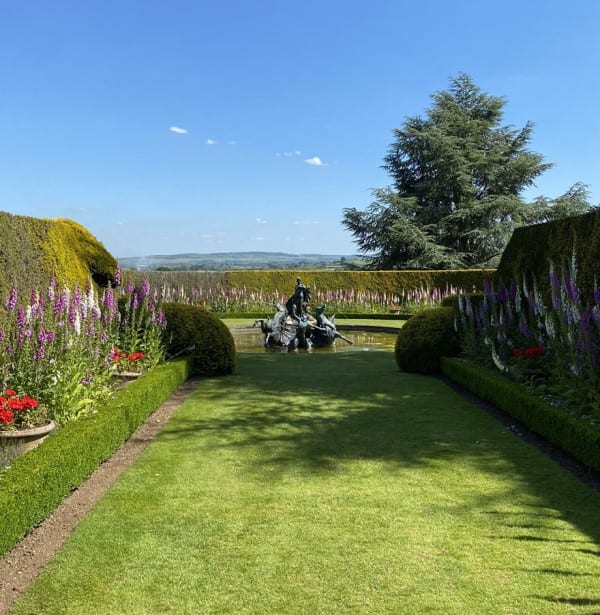 Venus garden view with foxgloves