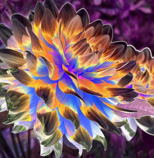 thumbnail_Flower -140