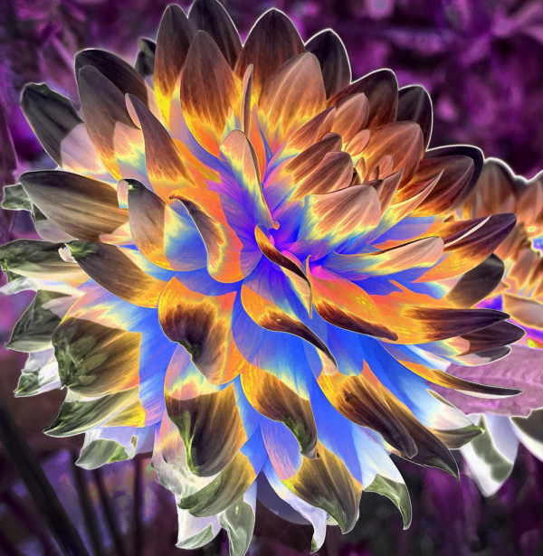 thumbnail_Flower -140
