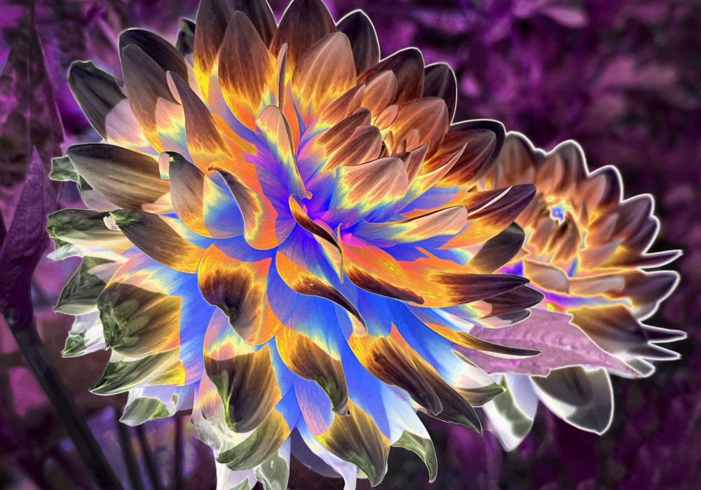 thumbnail_Flower -140