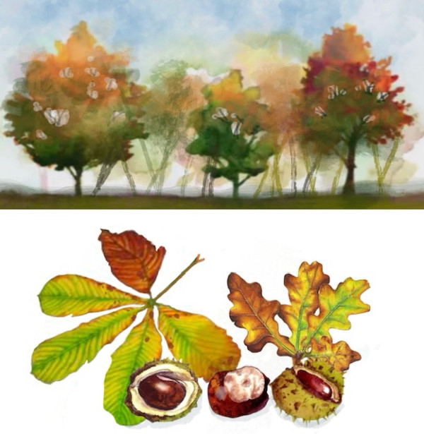 thumbnail_image0 (1)