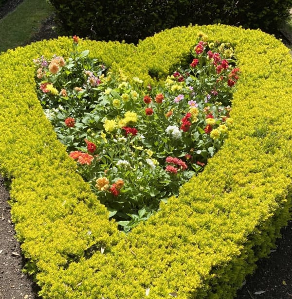 Sundial heart topiary
