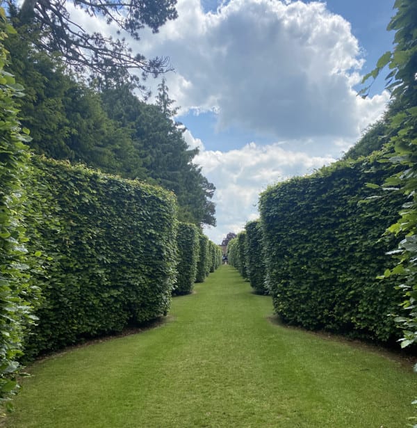 The Serpentine Walk