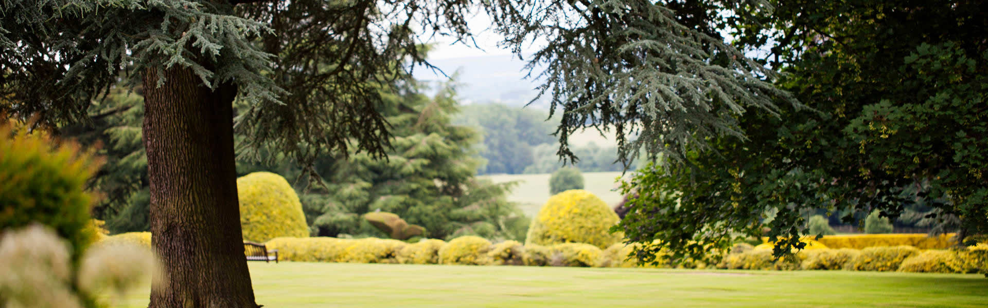 Across-the-South-Lawn