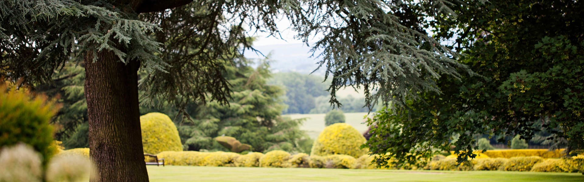 Across-the-South-Lawn