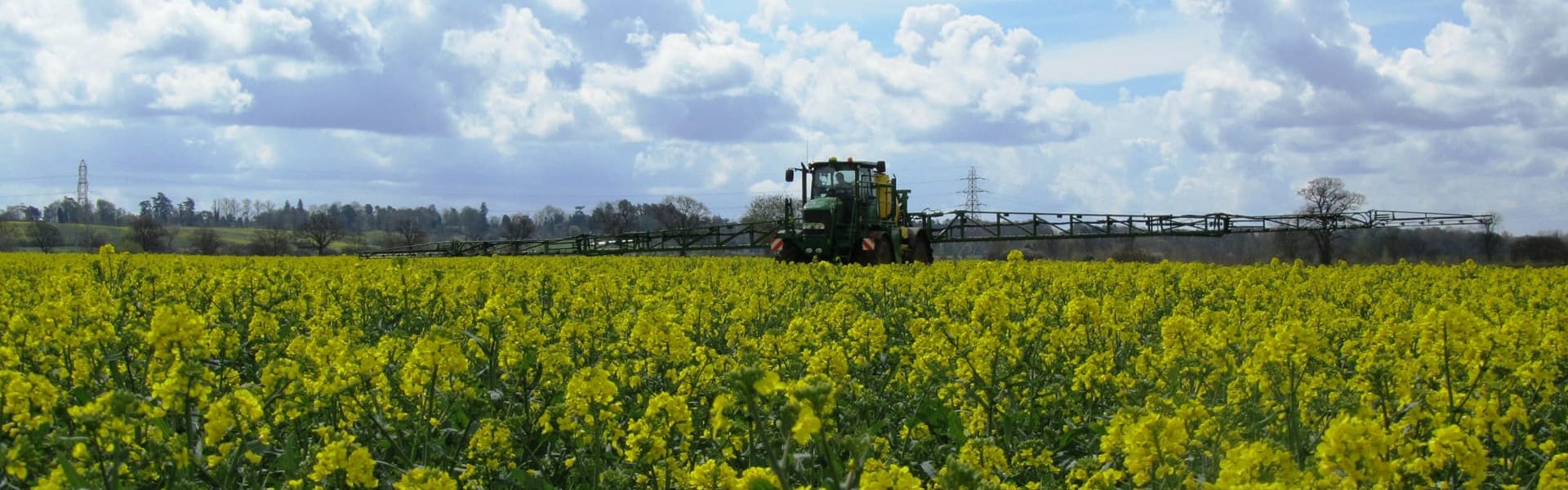 Rapeseed-spraying