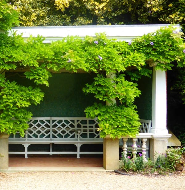 The-Tea-House